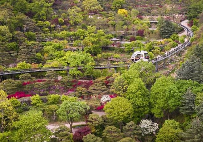 화담숲 봄 풍경 [화담숲 제공]
