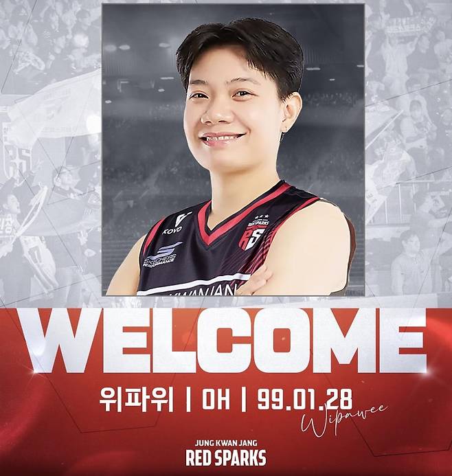 정관장이 SNS에 올린 위파위 영입 안내 [정관장 인스타그램 캡처. 재판매 및 DB 금지]