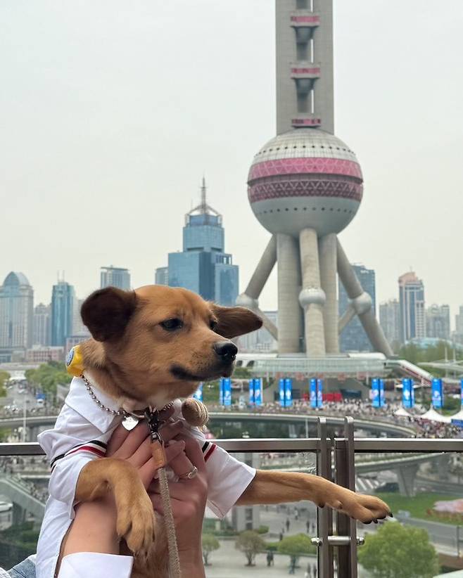 상하이 여행 함께 간 수지 (인스타그램 kim.baesuzy  제공 ⓒ 뉴스1)