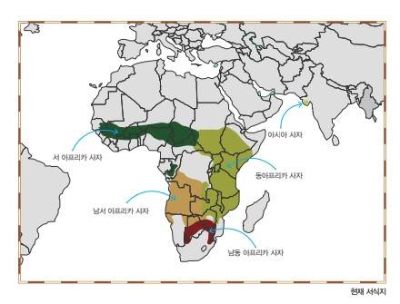 7ced8076b5836af33cec98bf06d60403c0ece13666bd5c2618