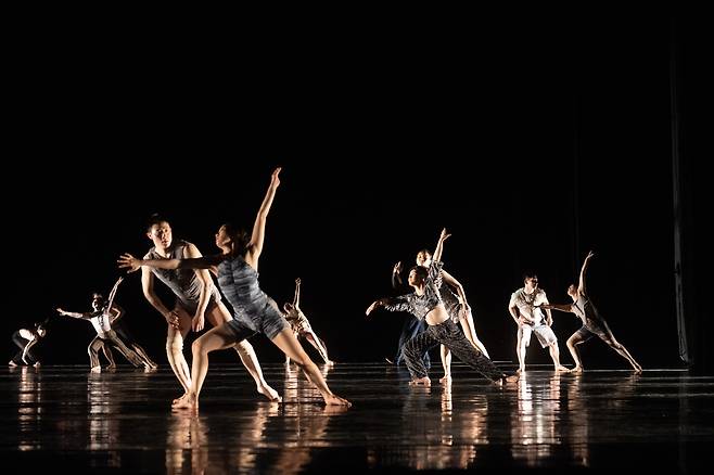"Jungle" (Korea National Contemporary Dance Company)