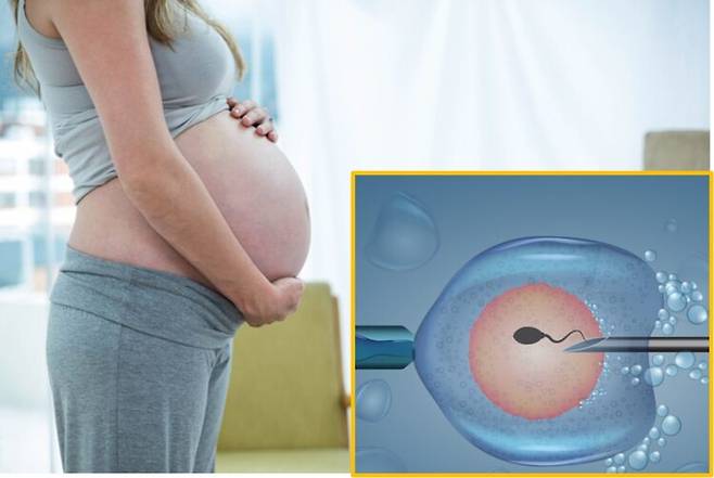 호주에서 한 여성이 인공수정(IVF) 클리닉의 배아 착오로 인해 다른 사람의 아기를 출산한 사건이 발생했다. *사진은 사건과 직접적 관계 없음 [사진=게티이미지뱅크]