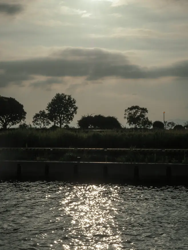 1a98f219d58368f63bed8ee65b836a2a63d0253d7d7a25356ab1f00920d2f7ba