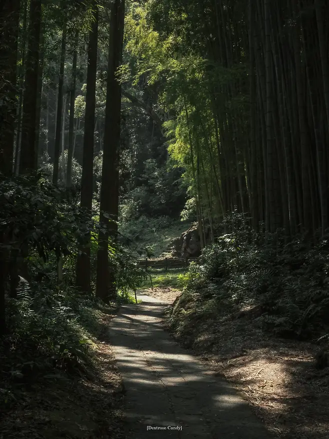 1a98f219d58368f63bec86e25b836a2a1ba627208b48bc7e3f6ff2456b9fa0ce