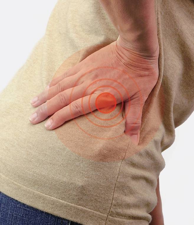 /사진= 셔터스톡