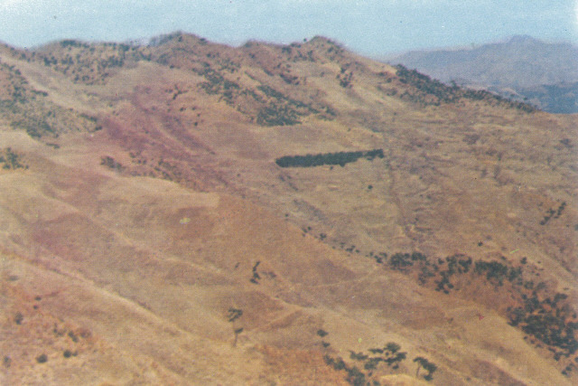 춘천시(당시 춘성군) 동면 감정리 산림녹화 전(1960년대)모습. 박규원 한국산림녹화UNESCO등재추진위원 제공