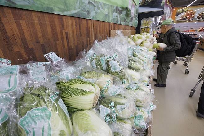 지난 2일 서울 서초구 농협 하나로마트 양재점에 배추가 진열돼 있다. 연합뉴스