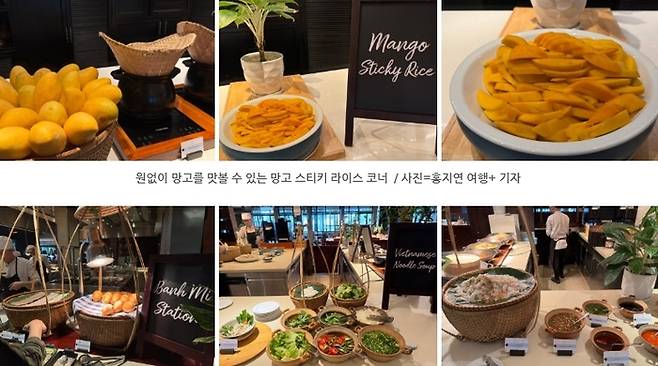 원하는대로 망고를 맛볼 수 있는 망고 스티키 라이스 코너  / 사진=홍지연 여행+ 기자