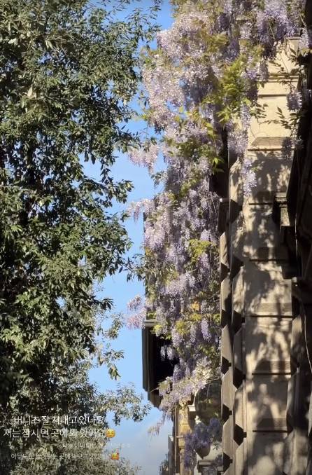 뉴진스 멤버들 계정 캡처