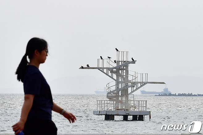 경북 포항시 송도해수욕장 다이빙대 위에 새들이 앉아쉬고 있다. (뉴스1 자료, 제판매 및 DB 금지) ⓒ News1 최창호 기자