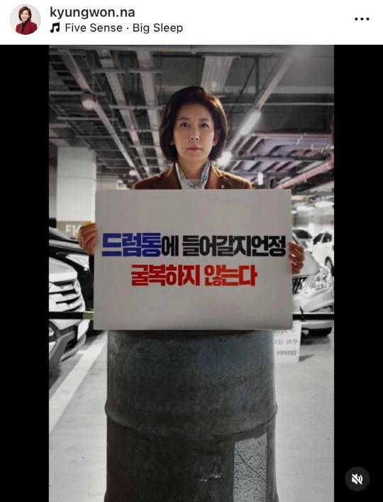 나경원 국민의힘 의원 인스타그램 갈무리