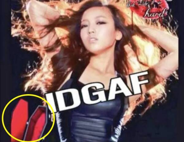 파이비 공식 계정에 올라온 고(故) 구하라의 사진. 서경덕 교수 페이스북 캡처