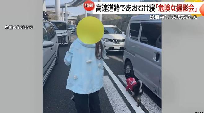 중국인 여성 2명이 사고가 발생해 정체된 고속도로 한가운데에 누워 양팔을 위로 올린 채 인증 사진을 찍었다. 또 오른손에 위스키 병을 들거나 캐릭터 가방을 안은 채 또 다른 인증 사진을 찍는가 하면 차에서 반려견을 데리고 내려 고속도로 위에서 산책시키는 장면을 영상에 담기도 했다/사진=후지뉴스네트워크