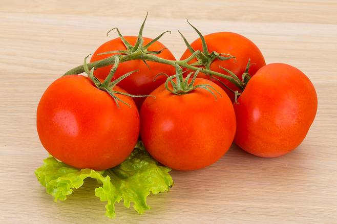 미국의 건강 전문지 ‘헬스’(Health)는 ‘토마토의 5가지 정점, 플러스 사실과 영양’(5 Benefits of Tomatoes, Plus Facts and Nutrition)이란 제목의 3월 26일자 기사에서 토마토의 5대 건강상 장점을 선정해 발표했다.