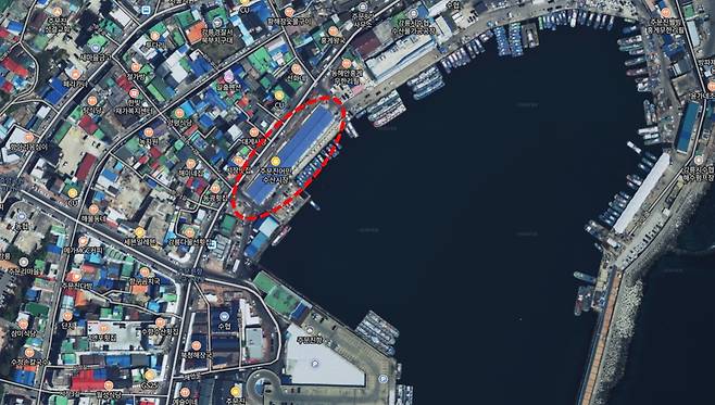 강릉 어민수산시장 [강릉시 제공. 재판매 및 DB 금지]