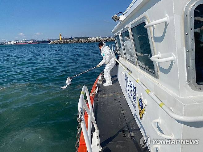 울산 앞바다 기름 방제작업 (울산=연합뉴스) 15일 오전 울산 남구 황성동 기름 저장탱크에서 팜유가 해상에 유출돼 해경이 방제 작업을 하고 있다. 2025.4.15 [울산해양경찰서 제공. 재판매 및 DB 금지] jjang23@yna.co.kr