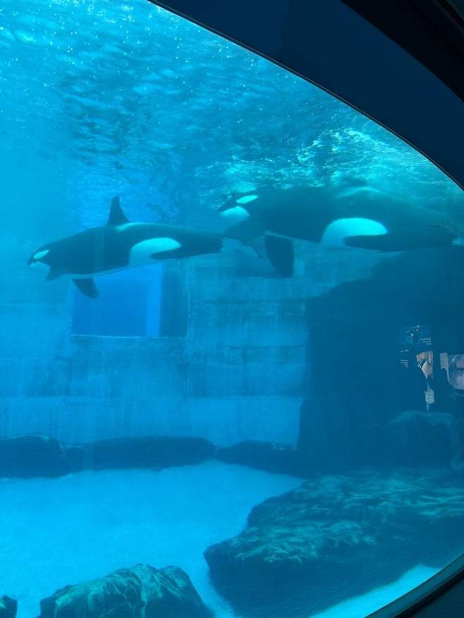 a66f24ac3612b35896f1dca511f11a3936c21921c4c60f765a