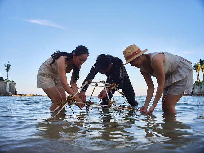‘산호초 심기’ 체험중인 투숙객들