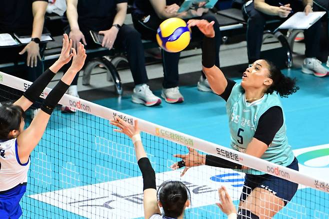 [서울=뉴시스] 프로배구 GS칼텍스 실바(오른쪽)가 지난 2월18일 서울 장충체육관에서 열린 도드람 2024~2025 V-리그 여자부 경기에서 현대건설을 상대로 공격을 시도하고 있다. (사진=KOVO 제공) 2025.02.18. *재판매 및 DB 금지