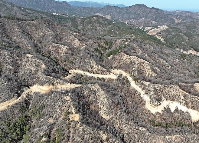 경북 울진 산림생태복원지 [한국수목원정원관리원 제공. 재판매 및 DB 금지]