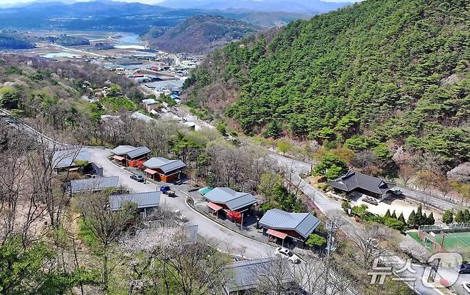 충북 괴산 성불산 자연휴양림 전경/뉴스1
