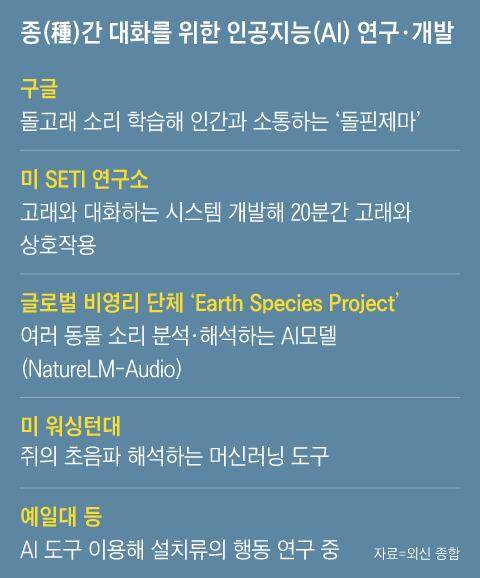 그래픽=박상훈