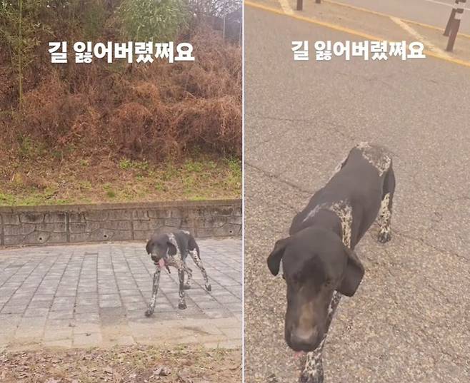 /사진=인스타그램 캡처