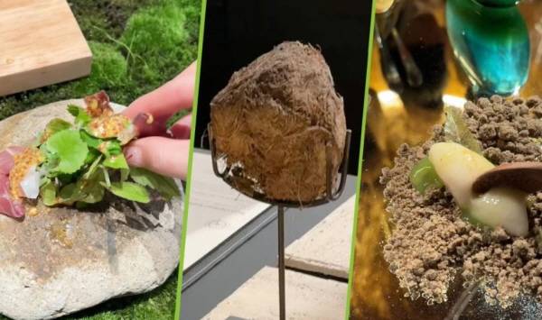 중국의 한 식당에서 코끼리 배설물을 이용한 메뉴를 선보여 화제다./사진=scmp