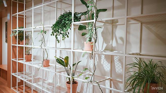 ▲ 캣다방을 나와 복도를 지나자