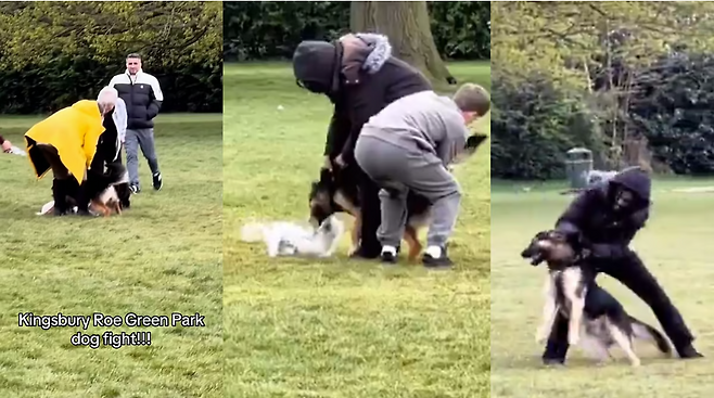 [인도 프리프레스저널]