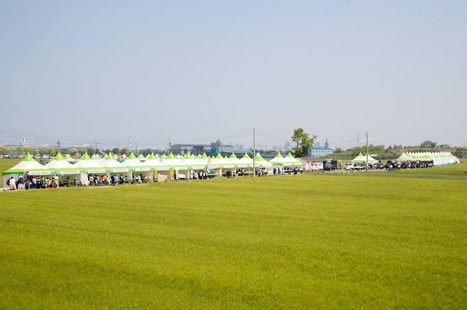 지난해 열린 전북 군산시 군산꽁당보리축제장 모습. 군산시 제공