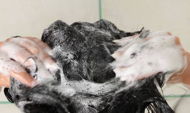 기사 내용과 직접적인 관련 없음. 클립아트코리아 제공