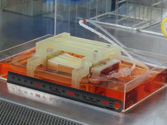 일본 도쿄대 연구팀이 닭고기와 비슷한 식감과 적당한 두께를 가진 배양육을 만들기 위해 제작한 생물반응기.  일본 도쿄대 제공
