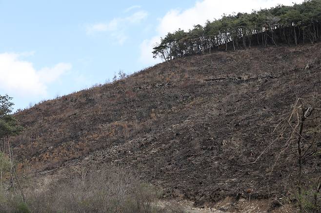 경북산불이 휩쓴 의성군 점곡면 구암리 야산 [촬영 황수빈]