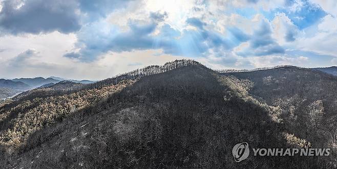경북 산불 '진화 완료'…폐허된 산림 비추는 햇살 [연합뉴스 자료사진]