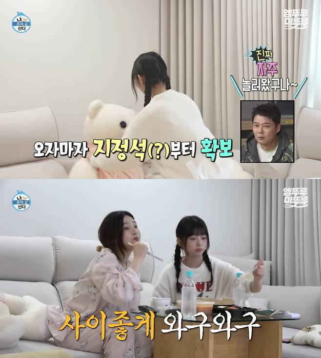 아이브 레이, 레드벨벳 조이/ 사진=MBC '나혼자산다' 갈무리