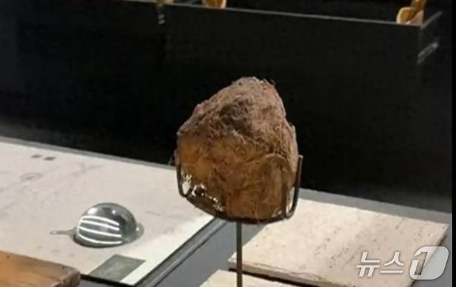 코끼리 똥을 재료로 만든 디저트 - SCMP 갈무리