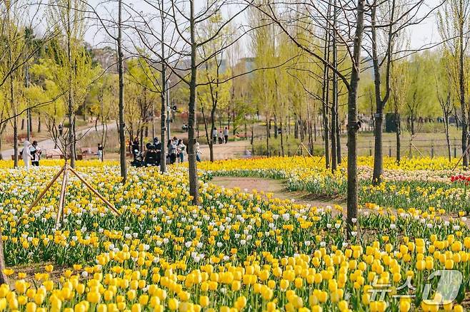 서울식물원 봄꽃 개화 사진.(서울식물원 제공)