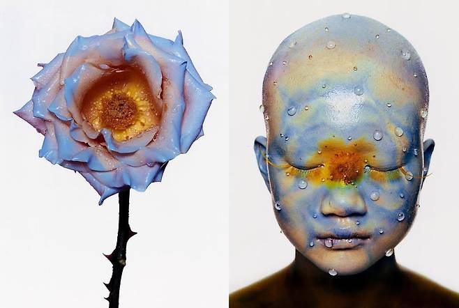 조기석의 FLOWER STUDY.