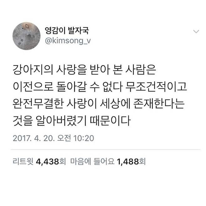 image.png 강아지에게 받는 완전무결한 사랑