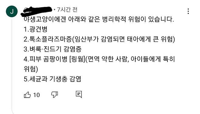 SNS에서 화제인... 버스의자를 점령한 고양이