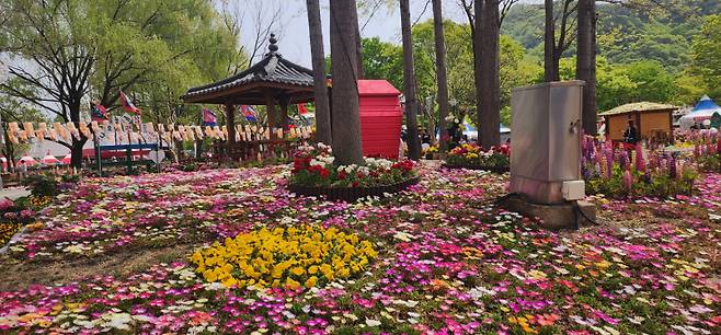 18일 의령군민공원에서 열리는 '홍의장군축제'에 튤립, 리빙스톤데이지, 루피너스, 왕벚꽃 등 봄꽃으로 새로 단장해 봄 축제 분위기를 더한다