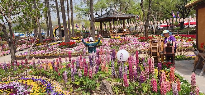 18일 의령군민공원에서 열리는 '홍의장군축제'에 튤립, 리빙스톤데이지, 루피너스, 왕벚꽃 등 봄꽃으로 새로 단장해 봄 축제 분위기를 더한다