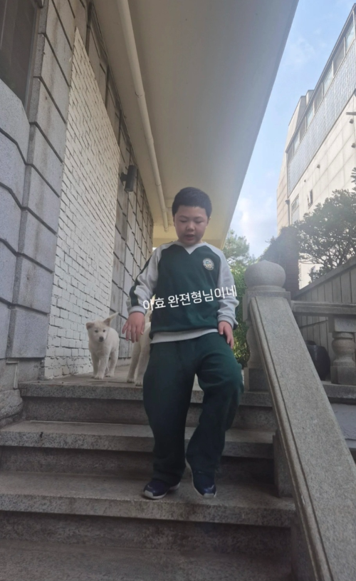 사진 = 황정음 SNS