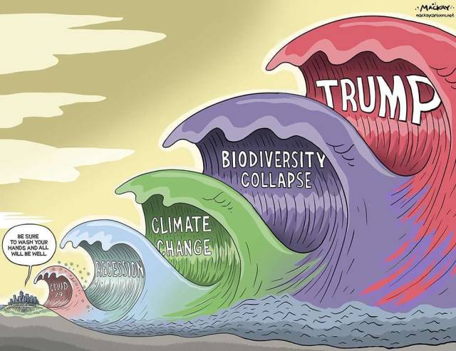 ▲팬데믹 이후 겹쳐오는 위기들과 트럼프의 귀환을 보여주는 만평. ⓒGraeme Mackay, 2025