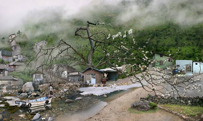 일곱살-배꽃나무와 갈매기 [영월군 제공.재판매 및 DB 금지]