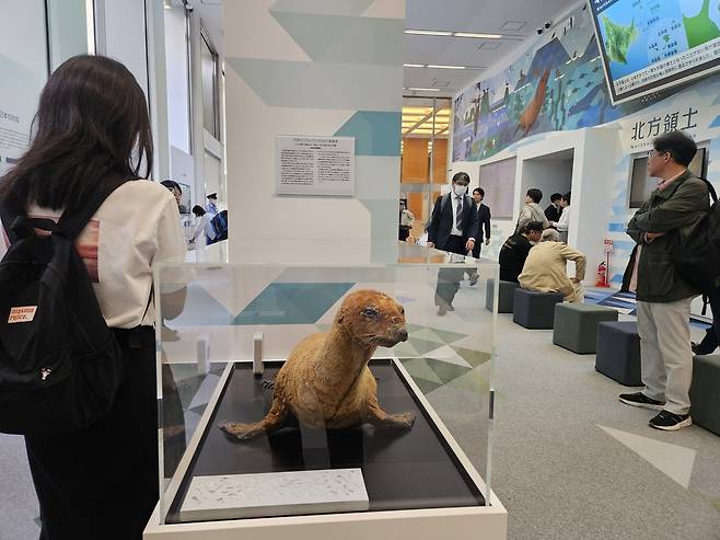 전시물인 강치 박제   (도쿄=연합뉴스) 일본 정부가 18일 도쿄 도심에서 시설을 강화해 재개관한 '영토·주권 전시관'에 전시된 강치 박제. 이 박제는 원래부터 전시물로 사용돼왔다. 2025.4.18. evan@yna.co.kr