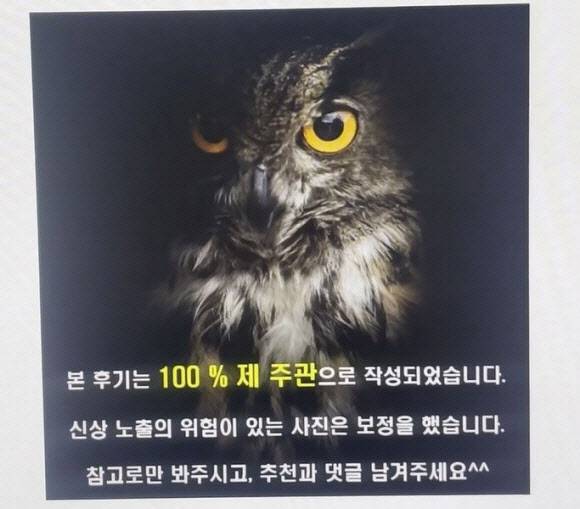 불법 성매매 사이트에 댓글과 움직이는 사진(GIF)으로 후기를 게시하고 10만~40만원 또는 무료 이용권을 받은 혐의로 닉네임 ‘검은 부엉이’ 홍보물. (사진=경기남부경찰청 제공)