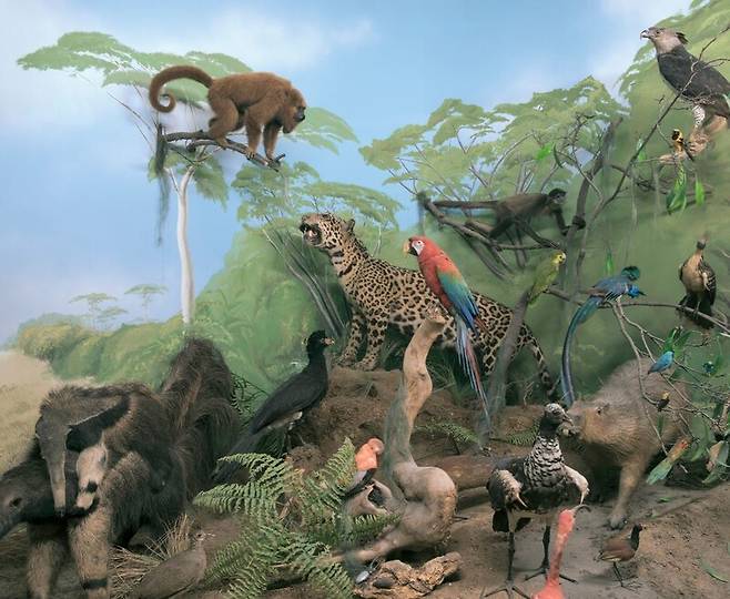 2025 소니세계사진상 ‘올해의 사진작가상’을 받은 ‘인류세 환상’ 시리즈. © Zed Nelson|Sony World Photography Awards 2025