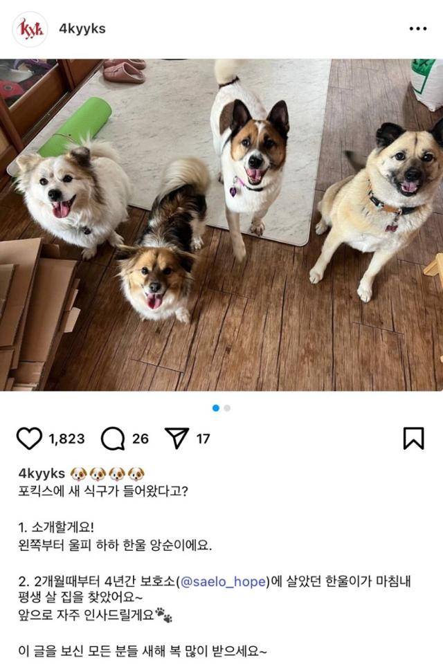 포킥스엔터터엔먼트 인스타그램 캡처